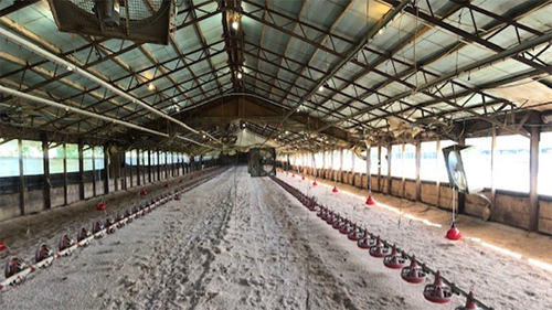 Photo of Inside of Barn