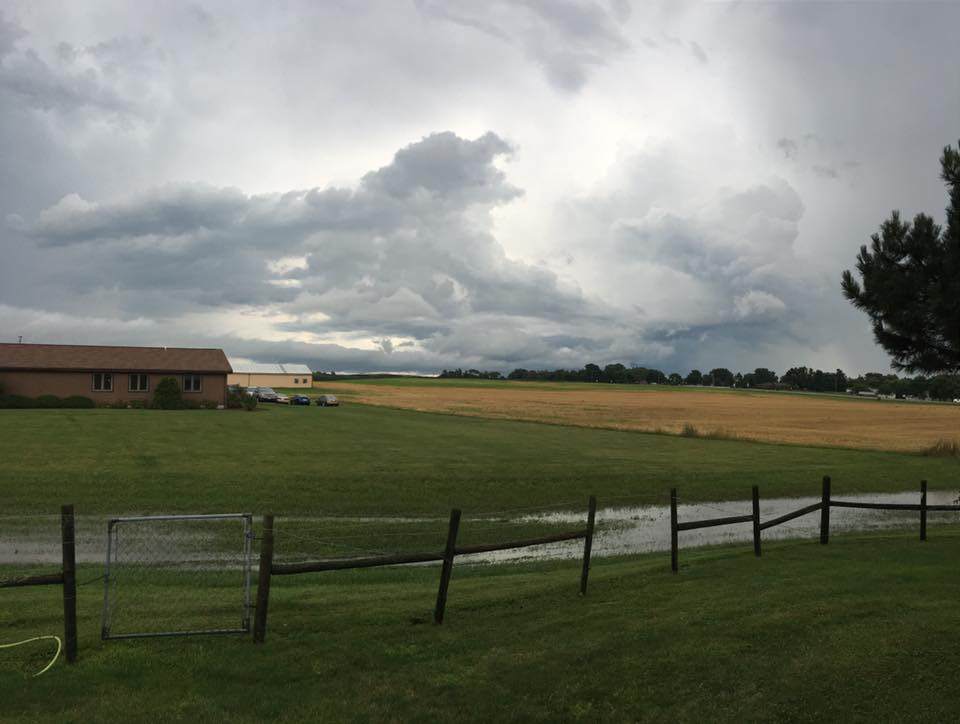 Photo of Pheasant Farm