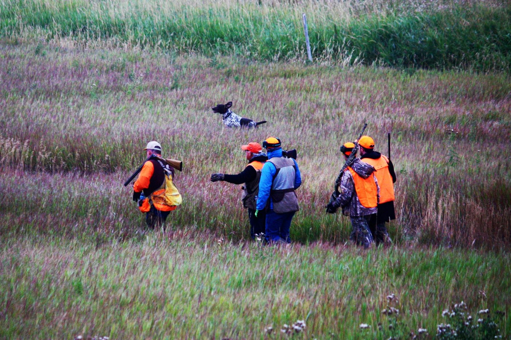 Group Hunting Pheasants