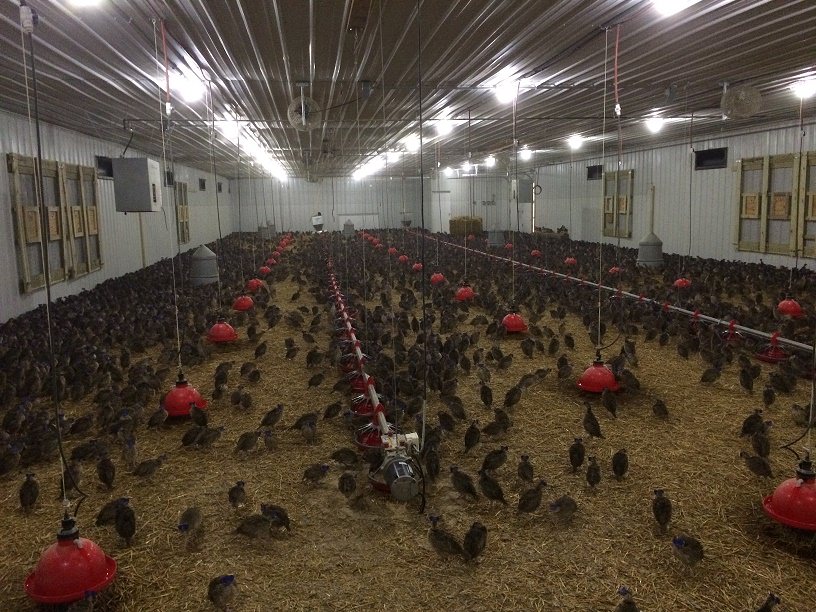 Photo of Milton Barn