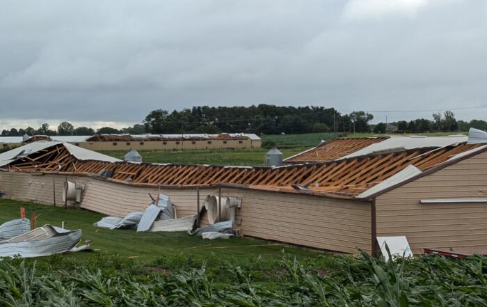 Photo of Storm Damage