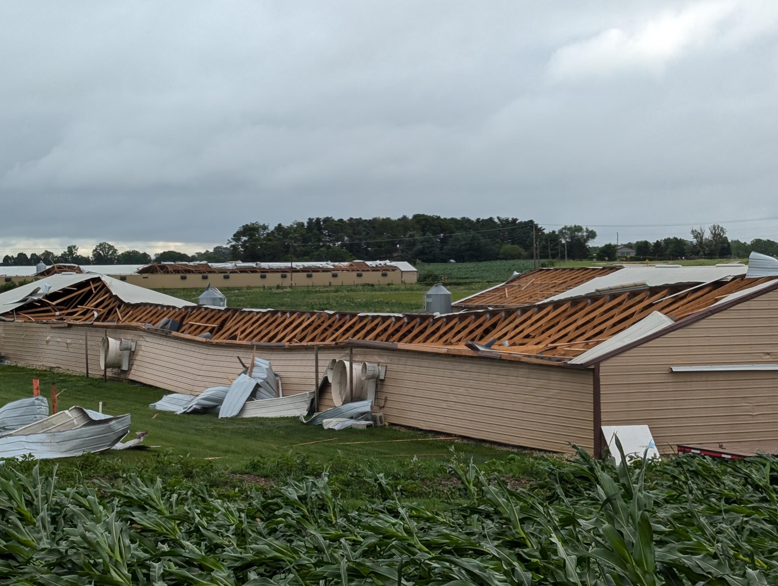 Photo of Storm Damage