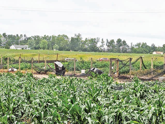 Pheasant Pen Damage After Tornado